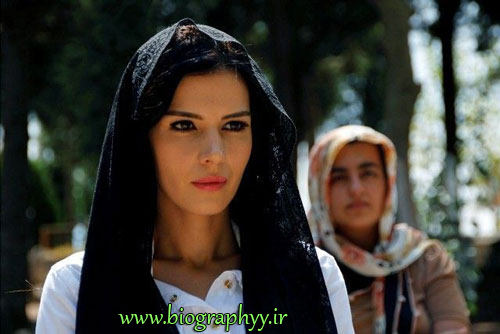 خلاصه داستان, سریال ترکی, دیلا خانم